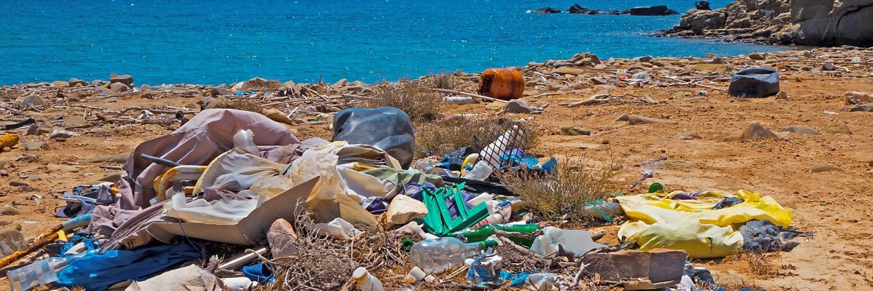 Plastic waste on a beach