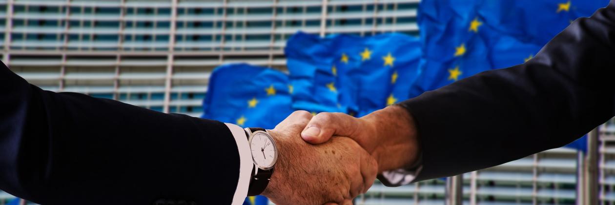 Handshake in front of row of EU flags