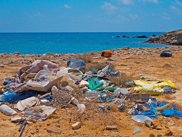 Plastic waste on a beach