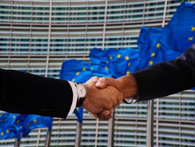 Handshake in front of row of EU flags
